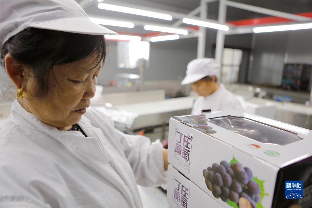 威尼斯欢乐娱人城官网